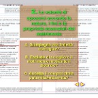 pagina 26